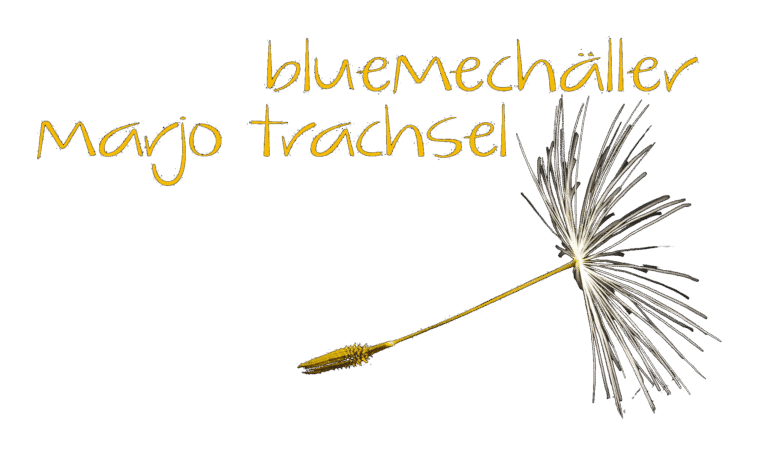 bluemechäller – Marjo Trachsel